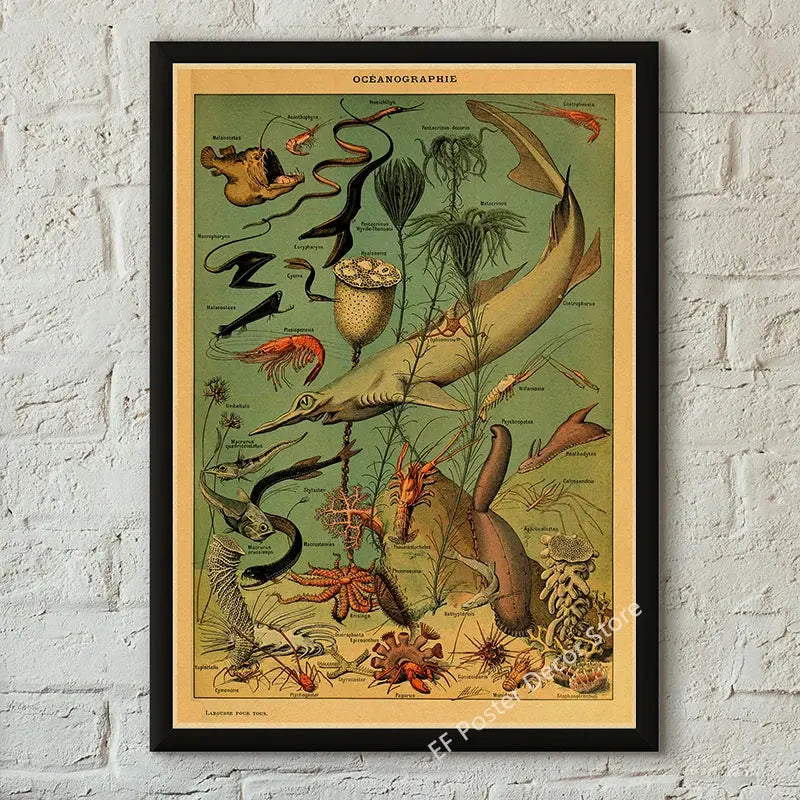 Botanical Art Prints Mushroom Retro Poster Animal/Flower/Plant/Leaf/Butterfly Study Painting Vintage Study Room Home Wall Decor June Wall Art
