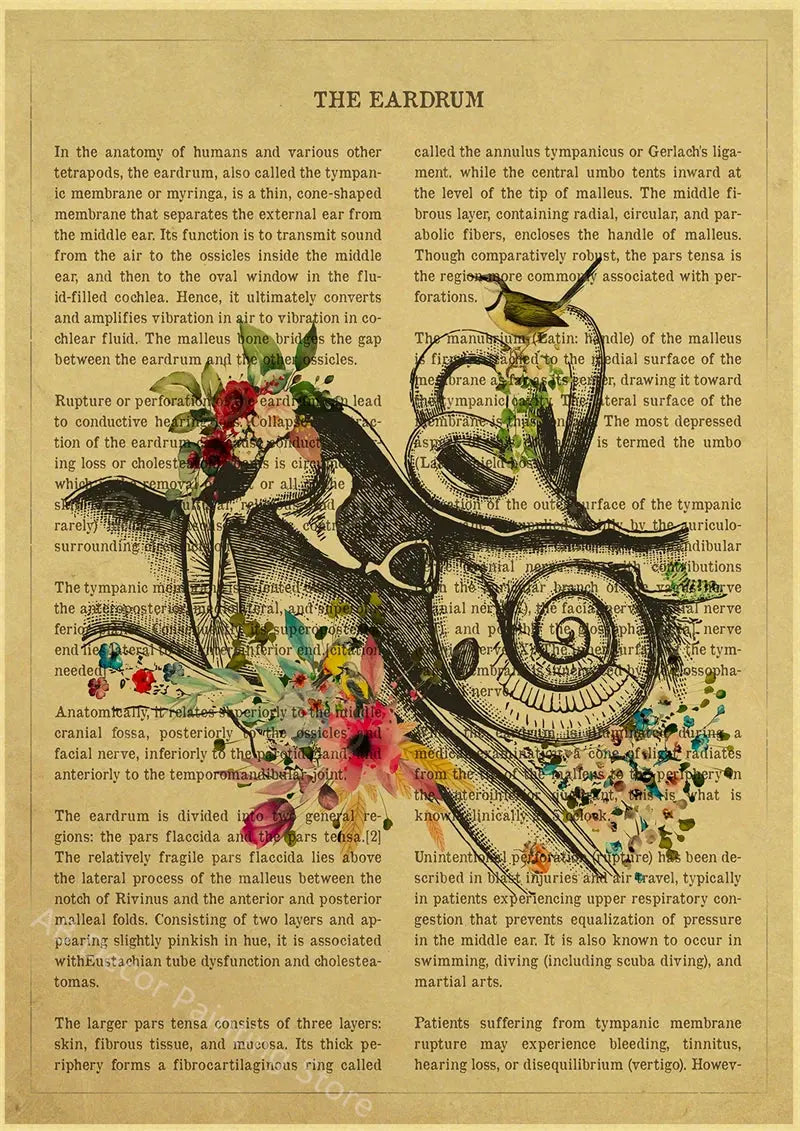 Human Heart/Lungs/Thorax/Cerebrum Anatomy with Flower and Description Posters Prints Retro Home Medical Decor Art Wall Painting June Wall Art