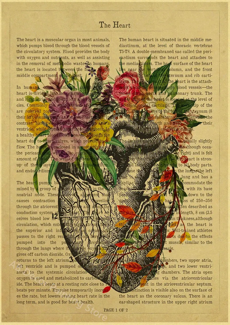 Human Heart/Lungs/Thorax/Cerebrum Anatomy with Flower and Description Posters Prints Retro Home Medical Decor Art Wall Painting June Wall Art