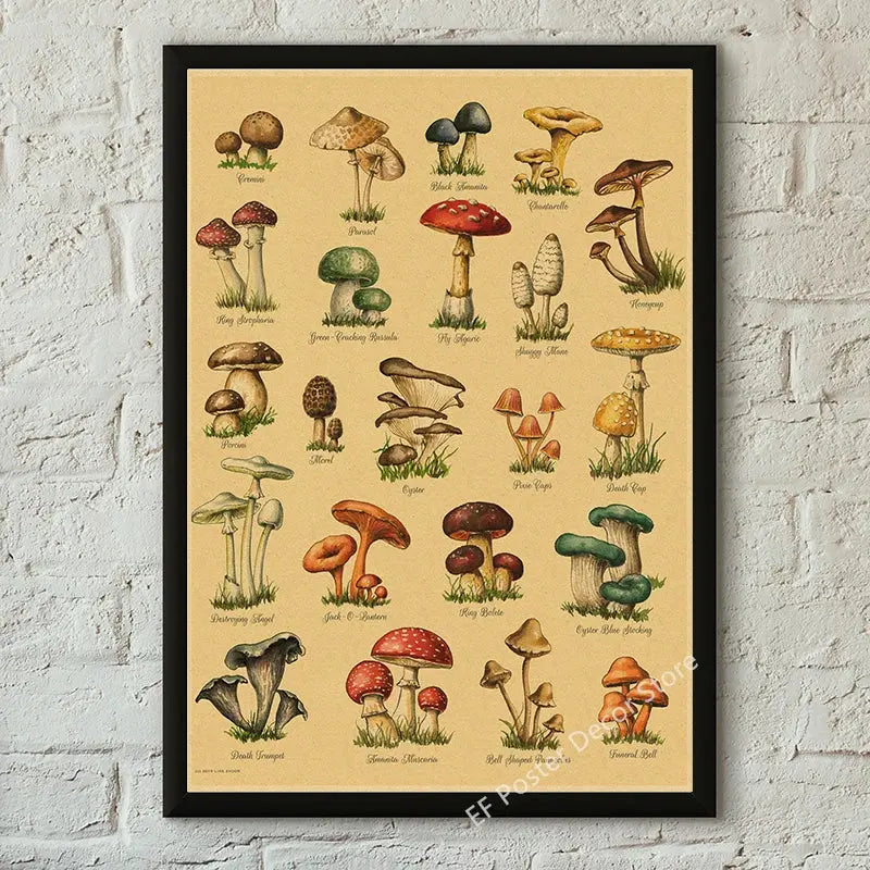 Botanical Art Prints Mushroom Retro Poster Animal/Flower/Plant/Leaf/Butterfly Study Painting Vintage Study Room Home Wall Decor June Wall Art