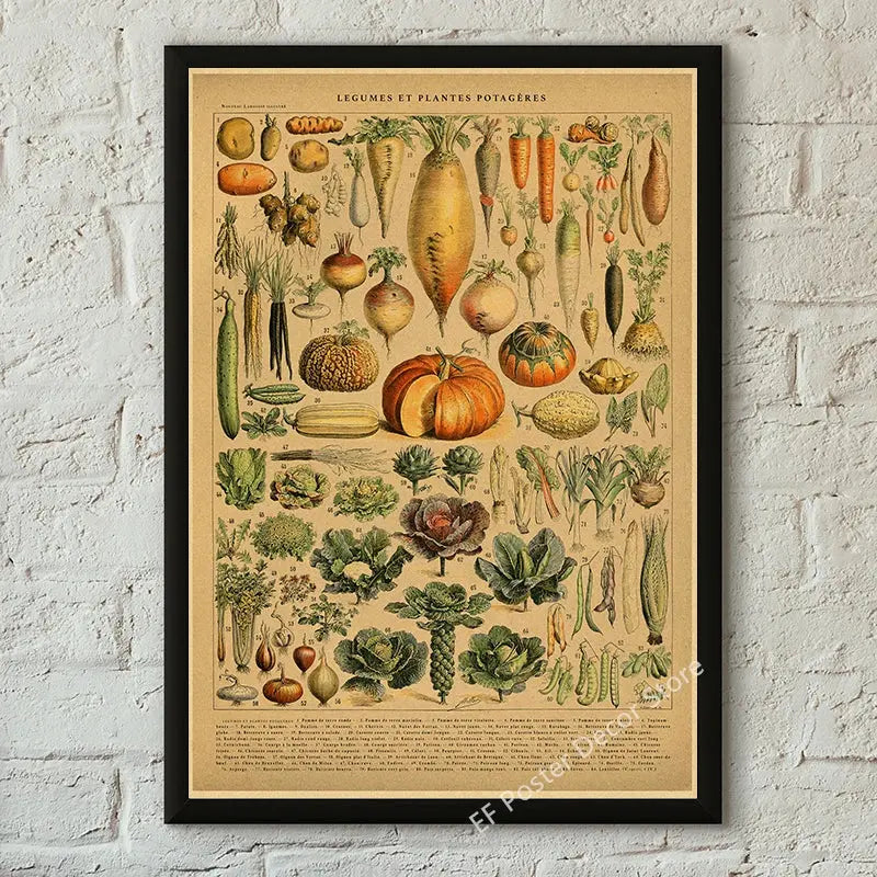 Botanical Art Prints Mushroom Retro Poster Animal/Flower/Plant/Leaf/Butterfly Study Painting Vintage Study Room Home Wall Decor June Wall Art
