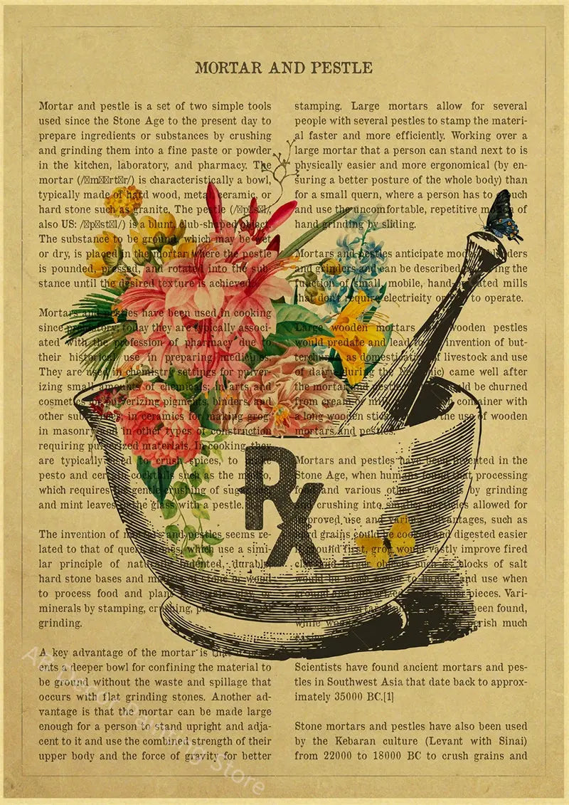 Human Heart/Lungs/Thorax/Cerebrum Anatomy with Flower and Description Posters Prints Retro Home Medical Decor Art Wall Painting June Wall Art
