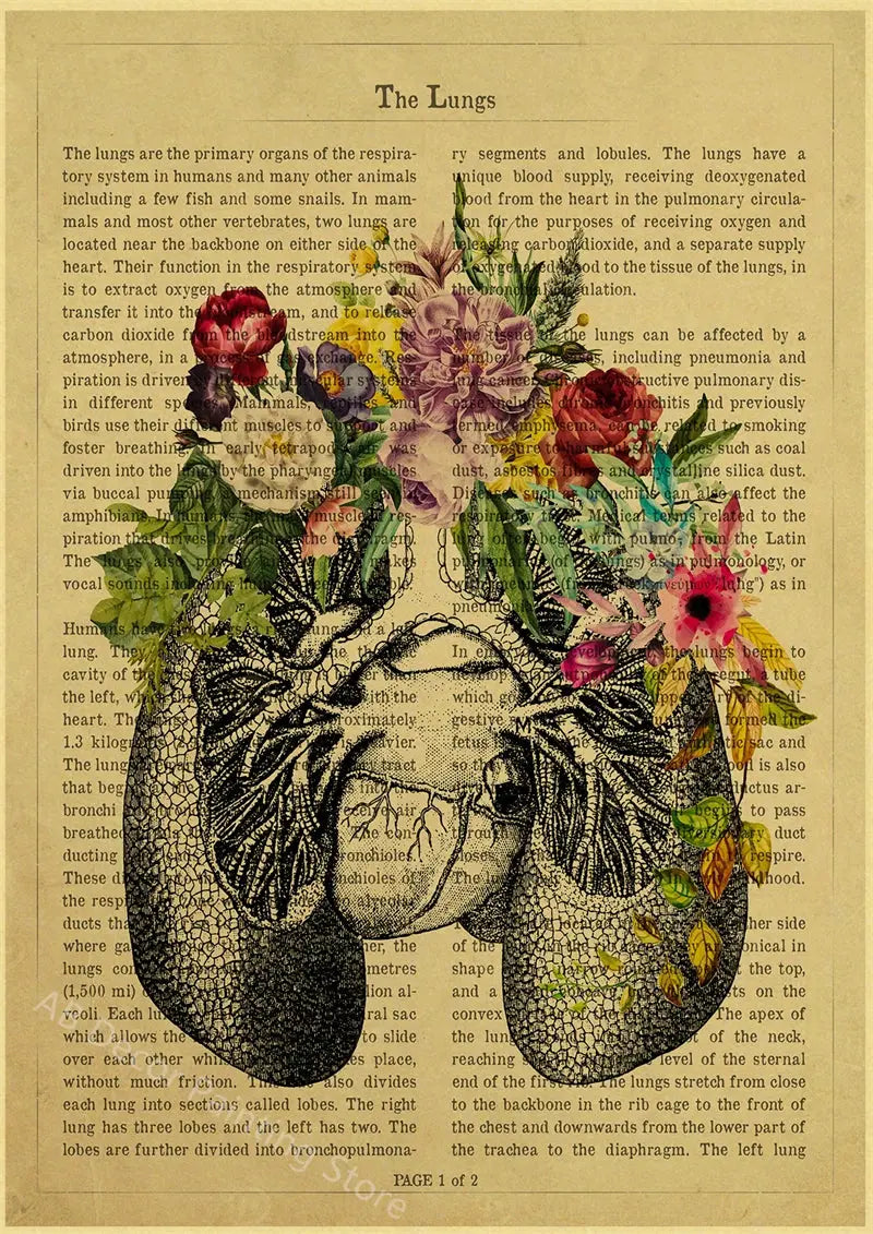 Human Heart/Lungs/Thorax/Cerebrum Anatomy with Flower and Description Posters Prints Retro Home Medical Decor Art Wall Painting June Wall Art