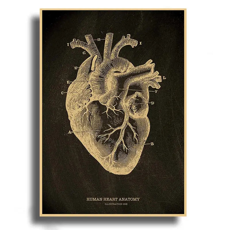 Heart/Skull/Brain Kraft Paper Poster Chalkboard Anatomical Skeleton Vintage Home Room Medicine Decor Medical Art Wall Painting June Wall Art
