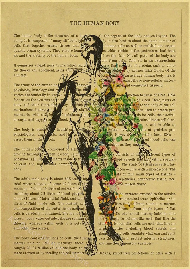 Human Heart/Lungs/Thorax/Cerebrum Anatomy with Flower and Description Posters Prints Retro Home Medical Decor Art Wall Painting June Wall Art