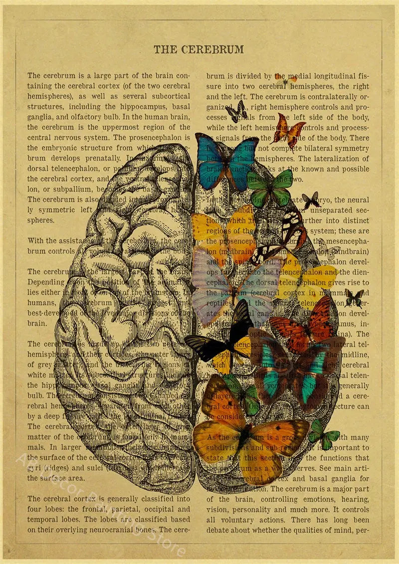 Human Heart/Lungs/Thorax/Cerebrum Anatomy with Flower and Description Posters Prints Retro Home Medical Decor Art Wall Painting June Wall Art