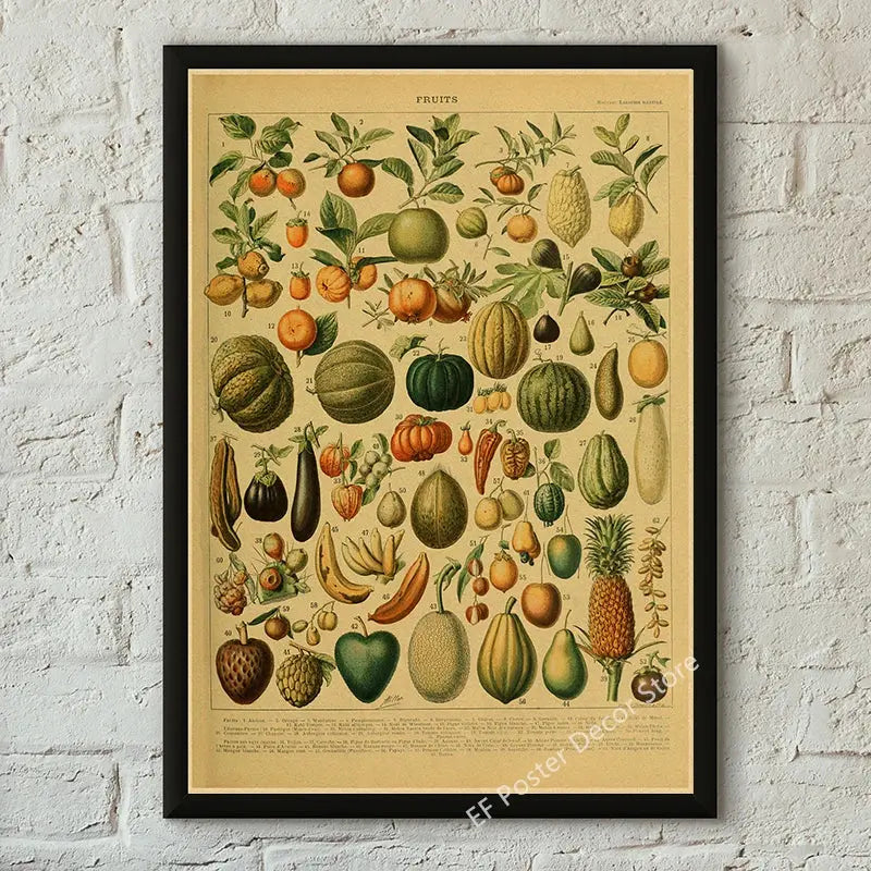 Botanical Art Prints Mushroom Retro Poster Animal/Flower/Plant/Leaf/Butterfly Study Painting Vintage Study Room Home Wall Decor June Wall Art