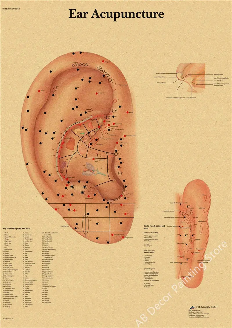 Retro Organ Systems In The Human Body Posters Skeleton Anatomy Kraft Paper Prints DIY Vintage Home Room Art Wall Decor Paintings June Wall Art
