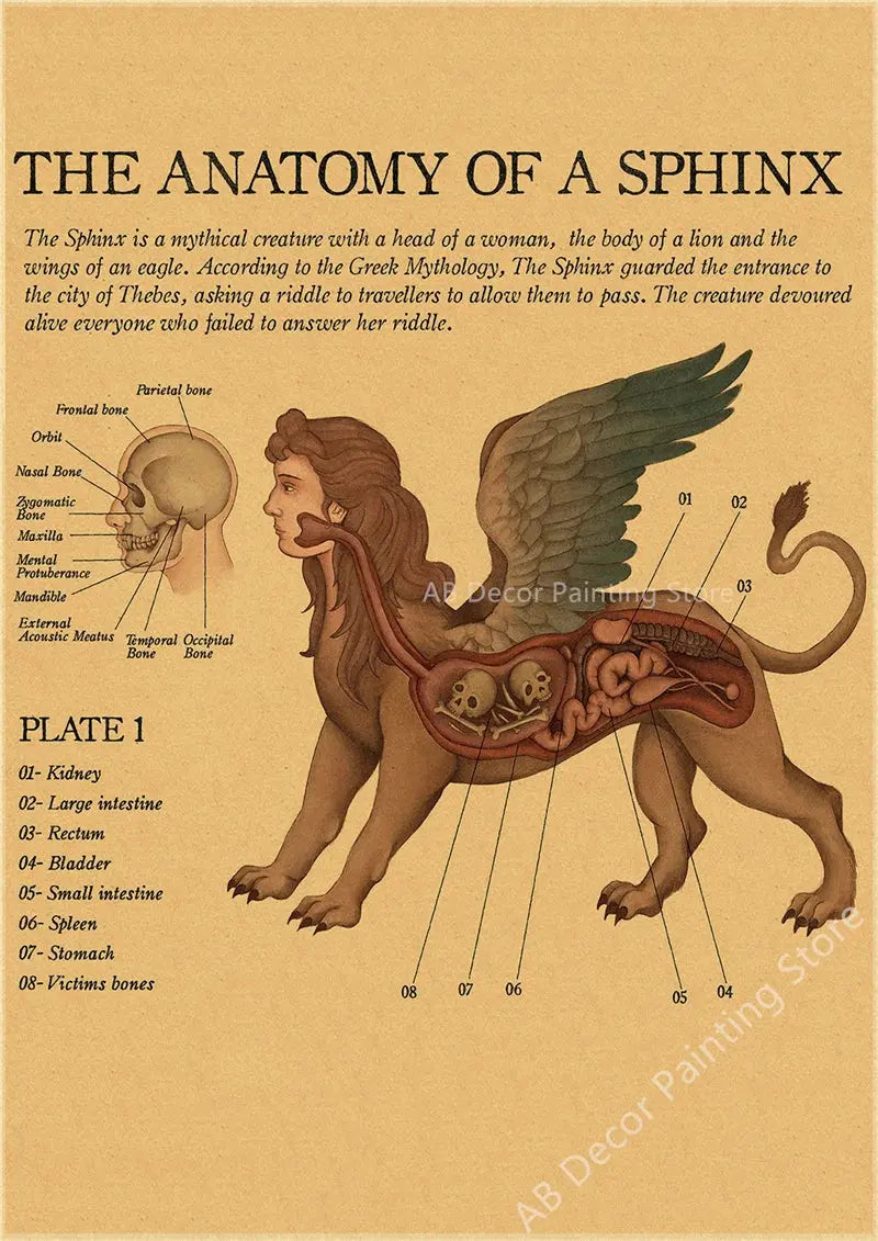 Anatomy of Mermaid Poster Bird Curious Creatures Kraft Paper Prints Vintage Home Room Cafe Bar Art Wall Decor Aesthetic Painting June Wall Art