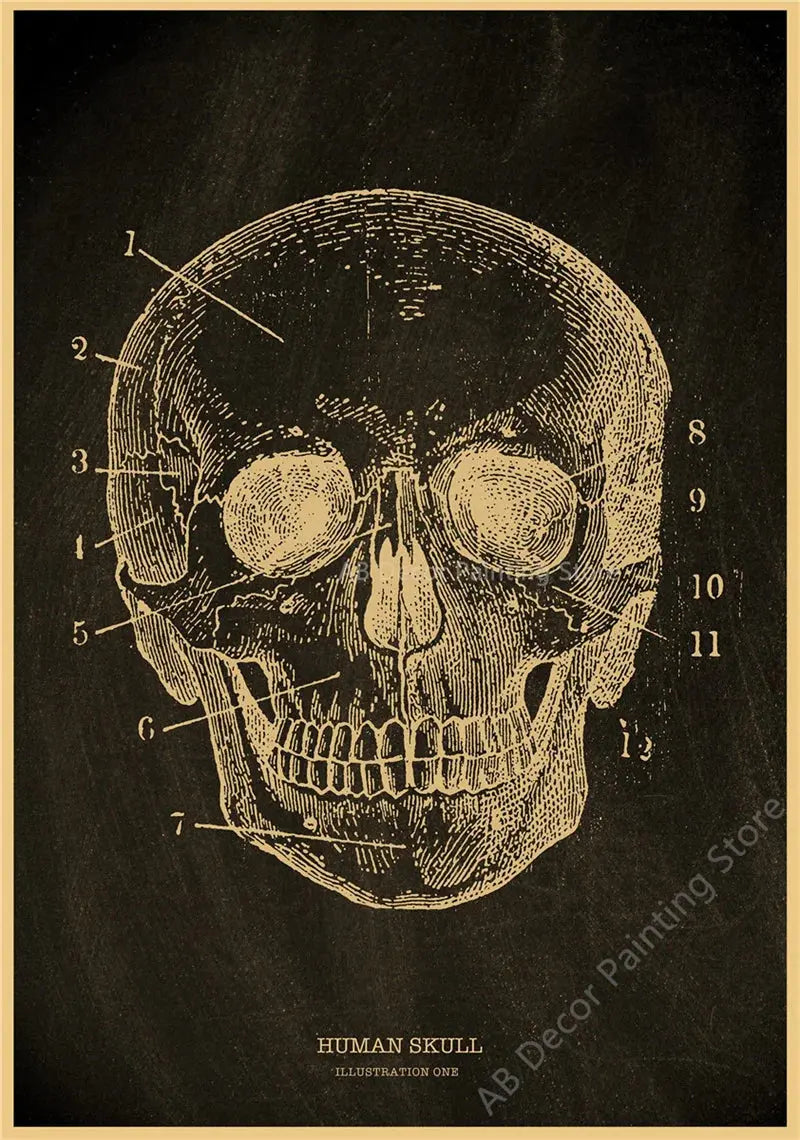 Nostalgic Posters Anatomy Chalkboard Poster Prints Body Parts Heart Hand Foot Drawing Vintage Home Room Art Wall Decor Painting June Wall Art