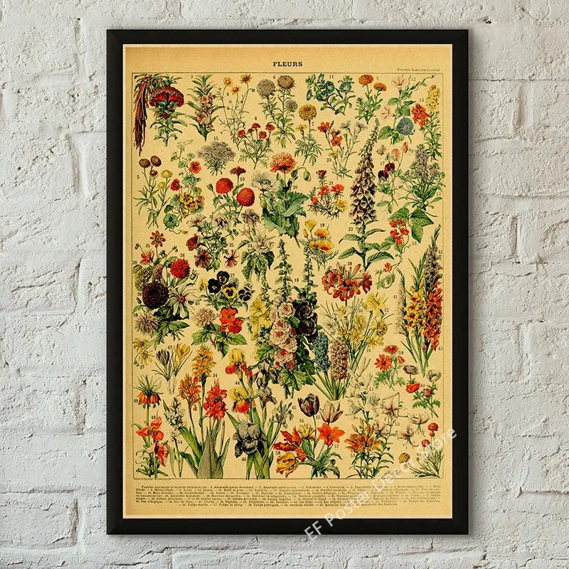 Botanical Art Prints Mushroom Retro Poster Animal/Flower/Plant/Leaf/Butterfly Study Painting Vintage Study Room Home Wall Decor June Wall Art