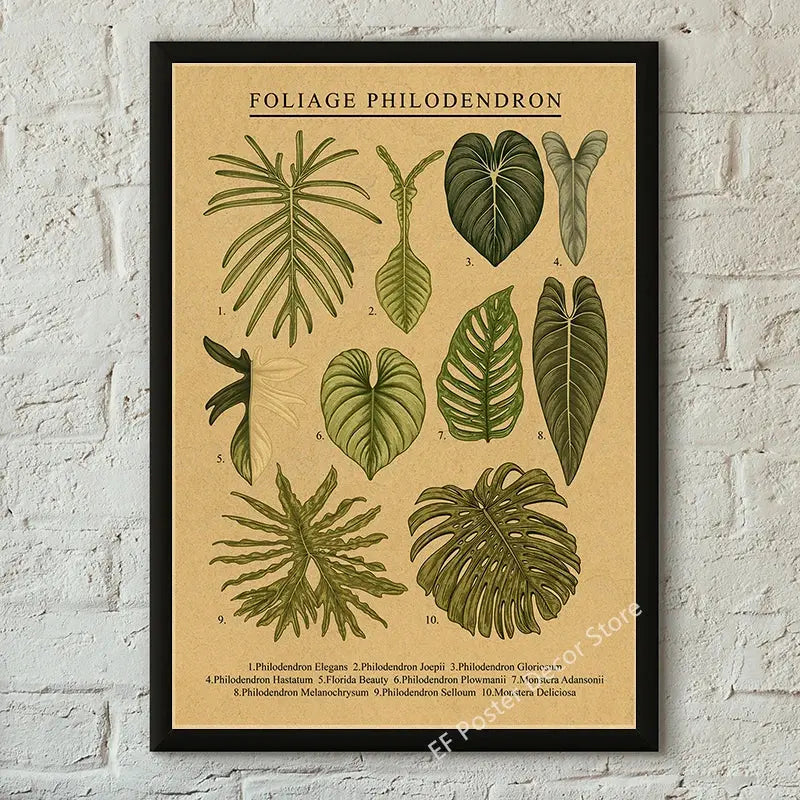 Botanical Art Prints Mushroom Retro Poster Animal/Flower/Plant/Leaf/Butterfly Study Painting Vintage Study Room Home Wall Decor June Wall Art