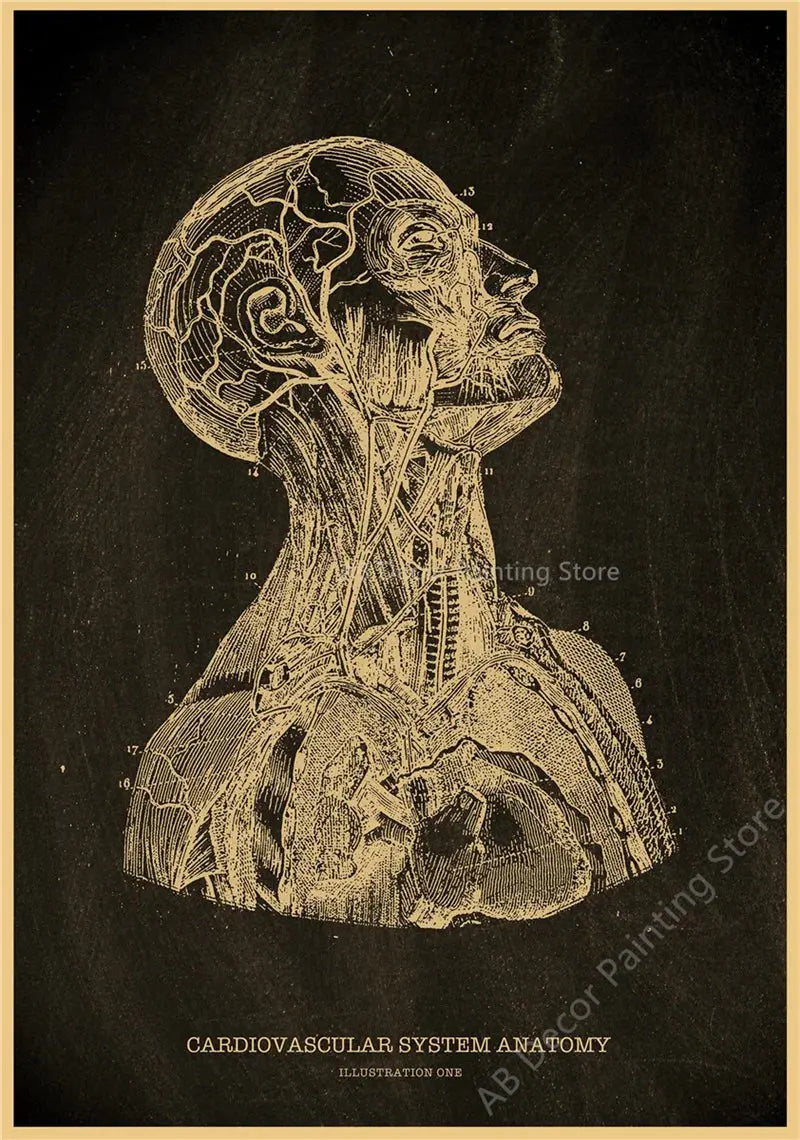 Nostalgic Posters Anatomy Chalkboard Poster Prints Body Parts Heart Hand Foot Drawing Vintage Home Room Art Wall Decor Painting June Wall Art