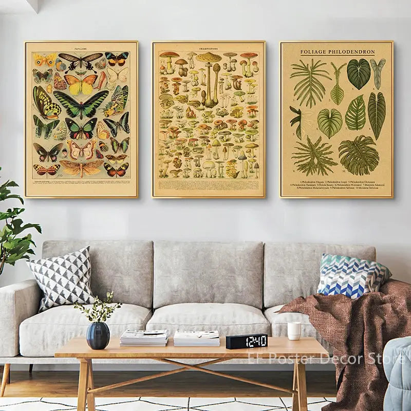 Botanical Art Prints Mushroom Retro Poster Animal/Flower/Plant/Leaf/Butterfly Study Painting Vintage Study Room Home Wall Decor June Wall Art
