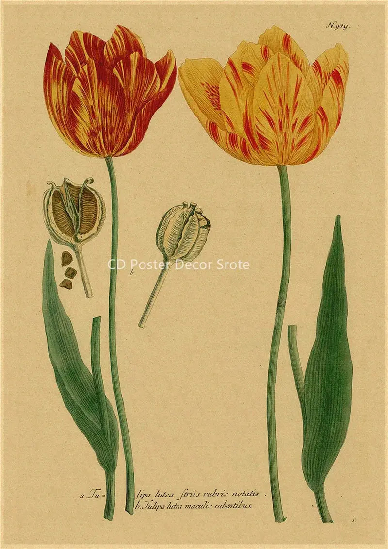 Botanical Illustration Poster Plant Leaf Flower Kraft Paper Posters Vintage Home Room Bar Cafe Decor Aesthetic Art Wall Painting June Wall Art