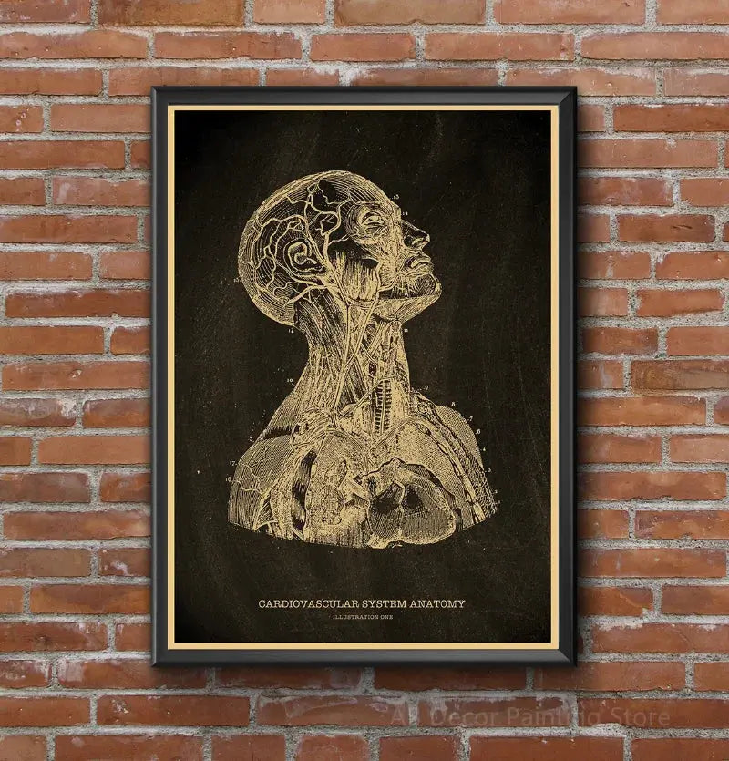 Nostalgic Posters Anatomy Chalkboard Poster Prints Body Parts Heart Hand Foot Drawing Vintage Home Room Art Wall Decor Painting June Wall Art