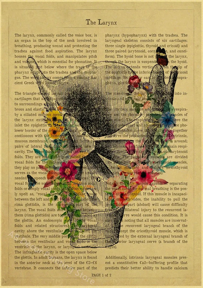 Human Heart/Lungs/Thorax/Cerebrum Anatomy with Flower and Description Posters Prints Retro Home Medical Decor Art Wall Painting June Wall Art