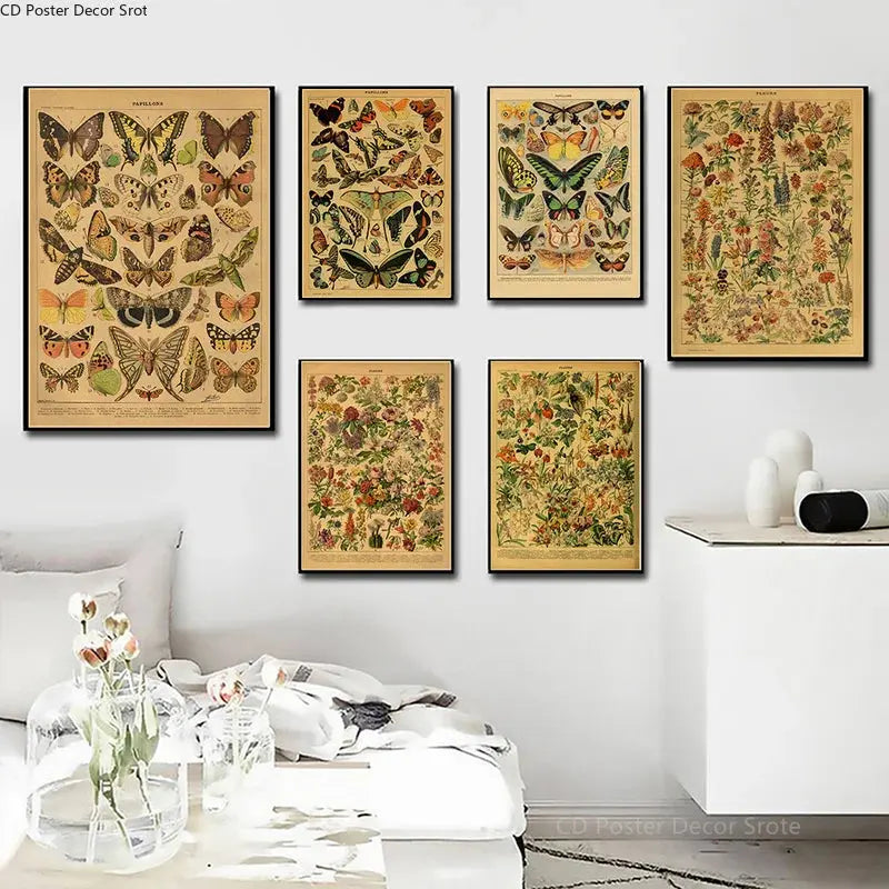 Butterfly Insect Flower Mushroom Poster Botanical Educational Kraft Paper DIY Vintage Home Room Bar Cafe Decor Art Wall Painting June Wall Art