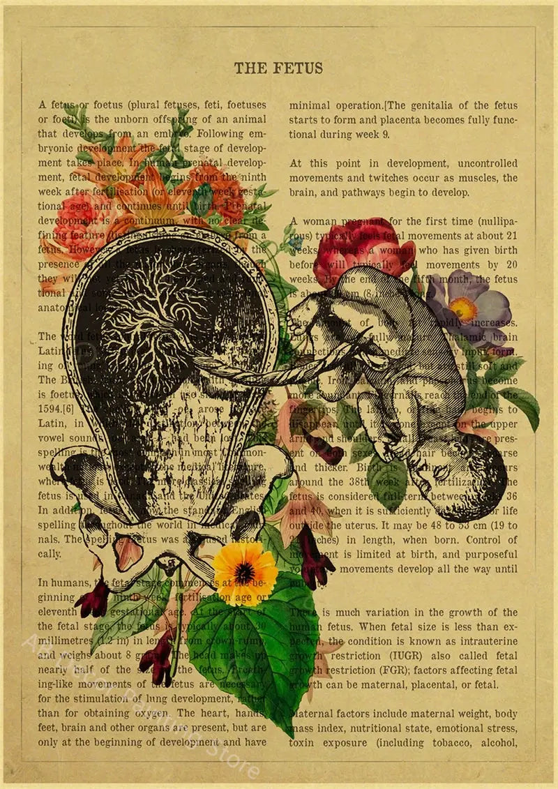 Human Heart/Lungs/Thorax/Cerebrum Anatomy with Flower and Description Posters Prints Retro Home Medical Decor Art Wall Painting June Wall Art