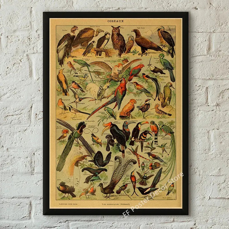 Botanical Art Prints Mushroom Retro Poster Animal/Flower/Plant/Leaf/Butterfly Study Painting Vintage Study Room Home Wall Decor June Wall Art