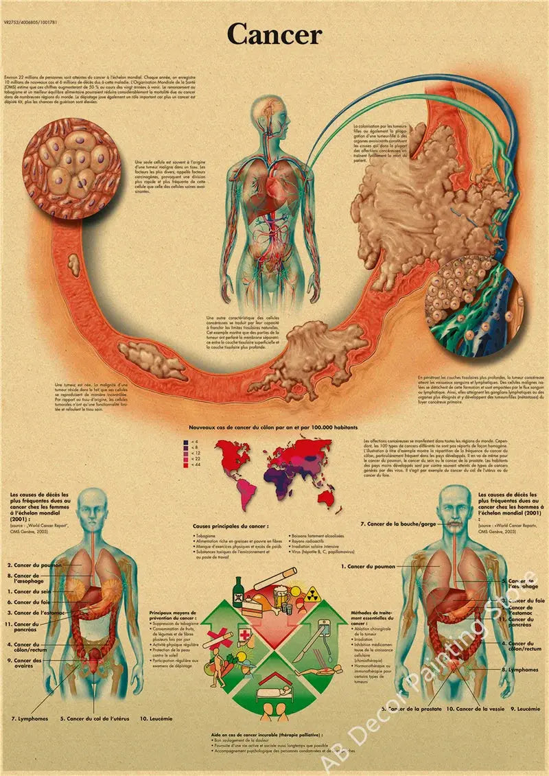 Retro Organ Systems In The Human Body Posters Skeleton Anatomy Kraft Paper Prints DIY Vintage Home Room Art Wall Decor Paintings June Wall Art