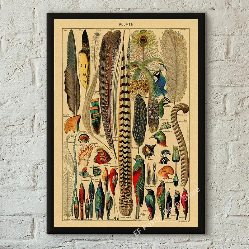 Botanical Art Prints Mushroom Retro Poster Animal/Flower/Plant/Leaf/Butterfly Study Painting Vintage Study Room Home Wall Decor June Wall Art