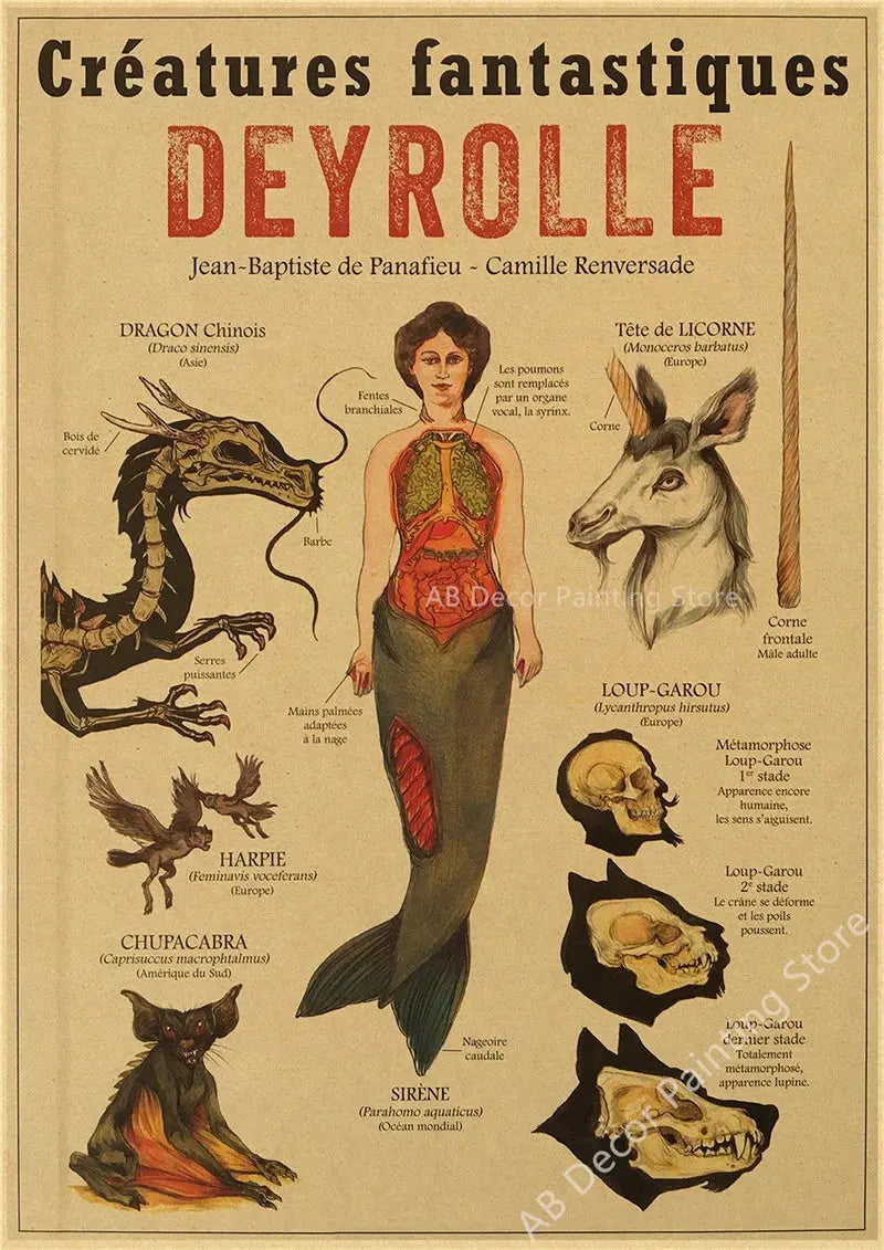 Anatomy of Mermaid Poster Bird Curious Creatures Kraft Paper Prints Vintage Home Room Cafe Bar Art Wall Decor Aesthetic Painting June Wall Art