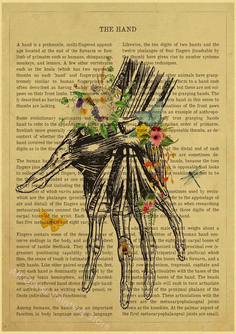 Human Heart/Lungs/Thorax/Cerebrum Anatomy with Flower and Description Posters Prints Retro Home Medical Decor Art Wall Painting June Wall Art