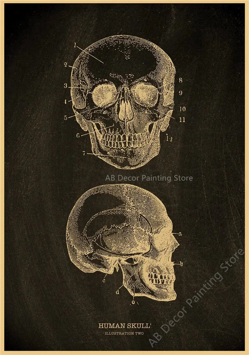 Nostalgic Posters Anatomy Chalkboard Poster Prints Body Parts Heart Hand Foot Drawing Vintage Home Room Art Wall Decor Painting June Wall Art