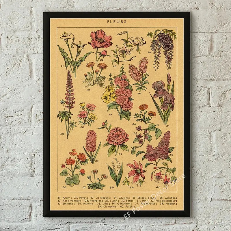 Botanical Art Prints Mushroom Retro Poster Animal/Flower/Plant/Leaf/Butterfly Study Painting Vintage Study Room Home Wall Decor June Wall Art