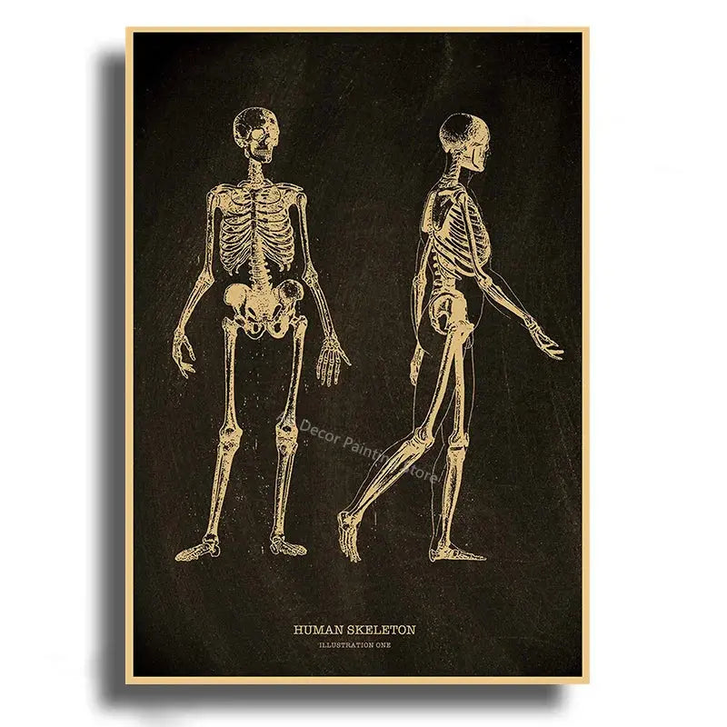 Heart/Skull/Brain Kraft Paper Poster Chalkboard Anatomical Skeleton Vintage Home Room Medicine Decor Medical Art Wall Painting June Wall Art