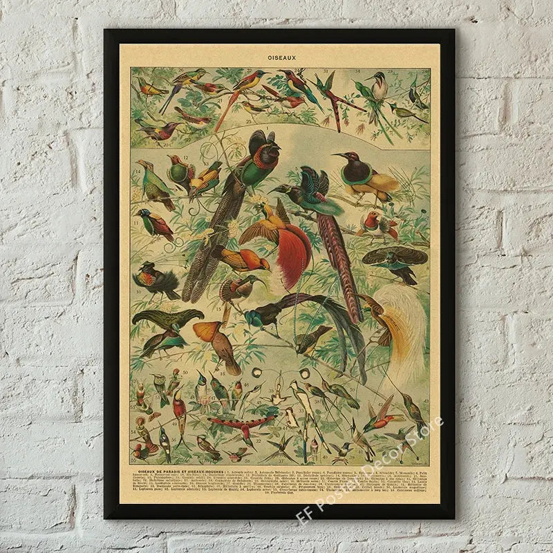 Botanical Art Prints Mushroom Retro Poster Animal/Flower/Plant/Leaf/Butterfly Study Painting Vintage Study Room Home Wall Decor June Wall Art