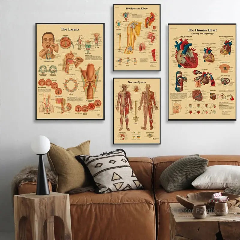 Retro Organ Systems In The Human Body Posters Skeleton Anatomy Kraft Paper Prints DIY Vintage Home Room Art Wall Decor Paintings June Wall Art
