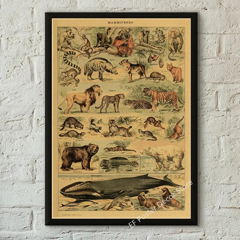 Botanical Art Prints Mushroom Retro Poster Animal/Flower/Plant/Leaf/Butterfly Study Painting Vintage Study Room Home Wall Decor June Wall Art