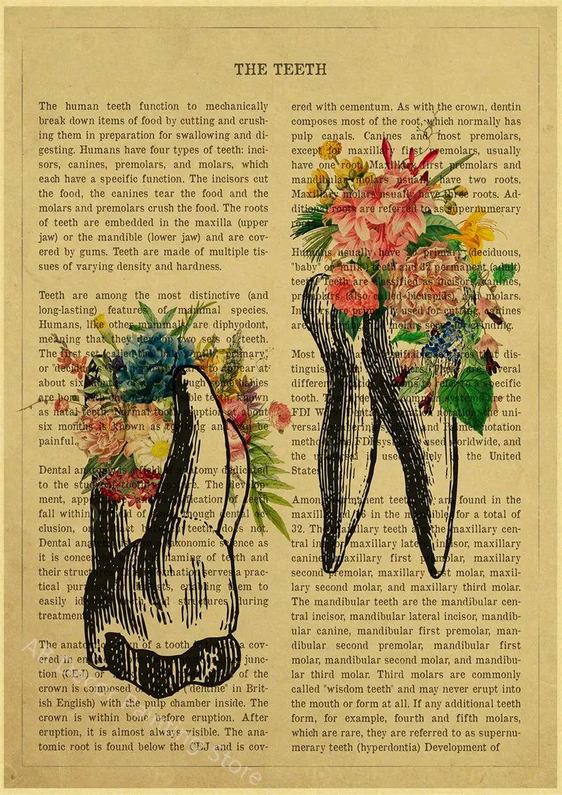 Human Heart/Lungs/Thorax/Cerebrum Anatomy with Flower and Description Posters Prints Retro Home Medical Decor Art Wall Painting June Wall Art