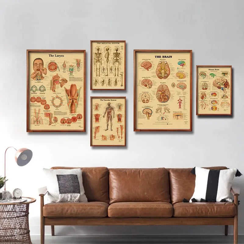 Retro Organ Systems In The Human Body Posters Skeleton Anatomy Kraft Paper Prints DIY Vintage Home Room Art Wall Decor Paintings June Wall Art