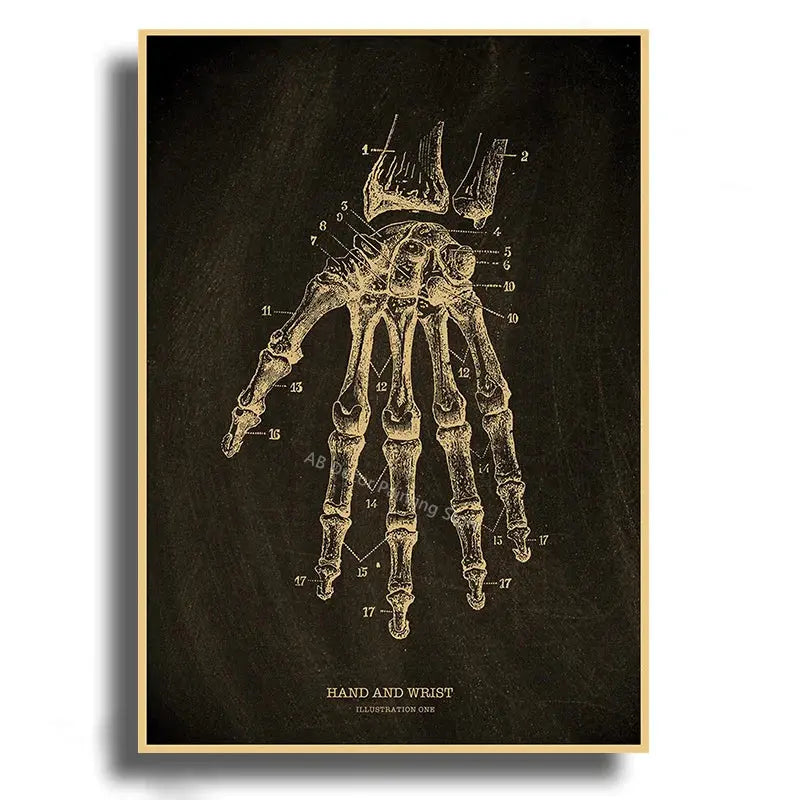 Heart/Skull/Brain Kraft Paper Poster Chalkboard Anatomical Skeleton Vintage Home Room Medicine Decor Medical Art Wall Painting June Wall Art