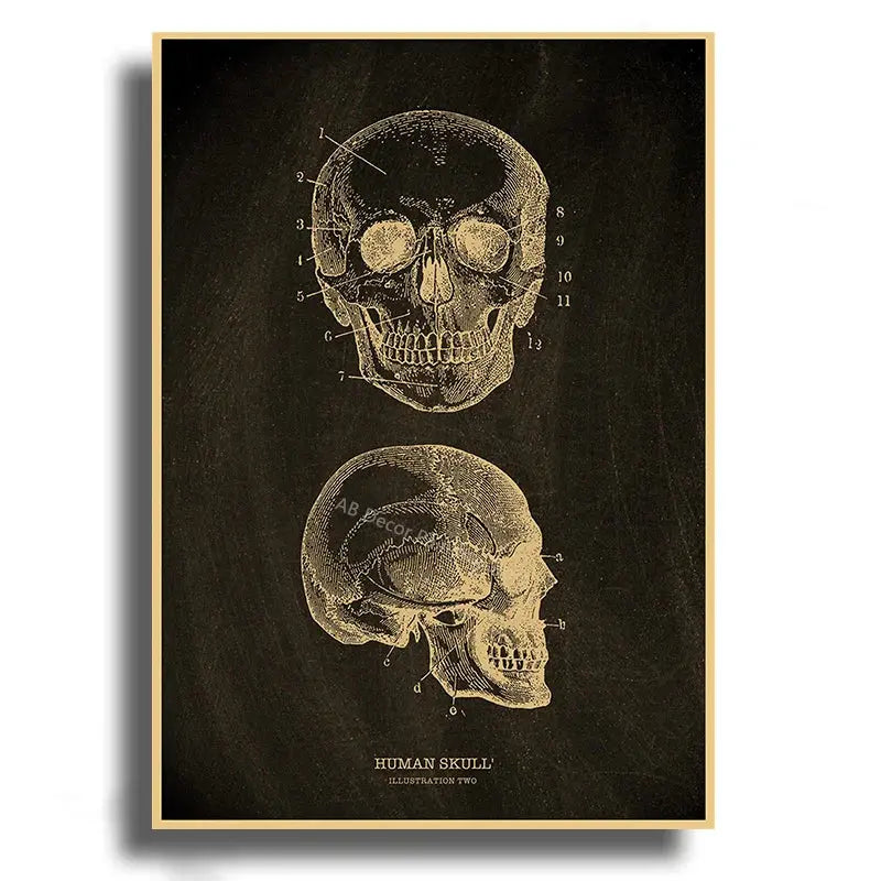 Heart/Skull/Brain Kraft Paper Poster Chalkboard Anatomical Skeleton Vintage Home Room Medicine Decor Medical Art Wall Painting June Wall Art