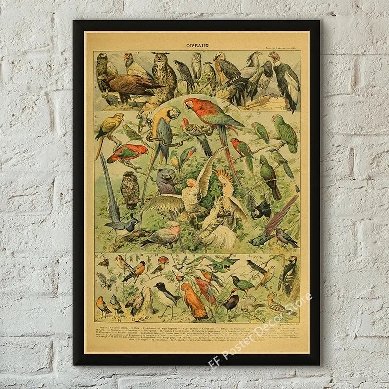 Botanical Art Prints Mushroom Retro Poster Animal/Flower/Plant/Leaf/Butterfly Study Painting Vintage Study Room Home Wall Decor June Wall Art