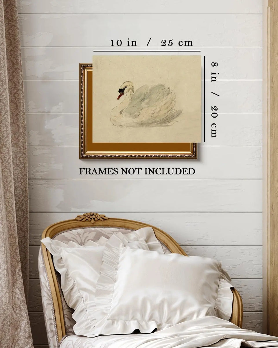 Kizbok Vintage Wall Art Decor Classical Swan Canvas Prints Farmhouse Wall Decor Rustic Watercolor Swan Vintage Art Pictures for Bedroom Bathroom Office Decor(8" x 10"-UNFRAMED) https://www.amazon.com/dp/B0CZJTYF34