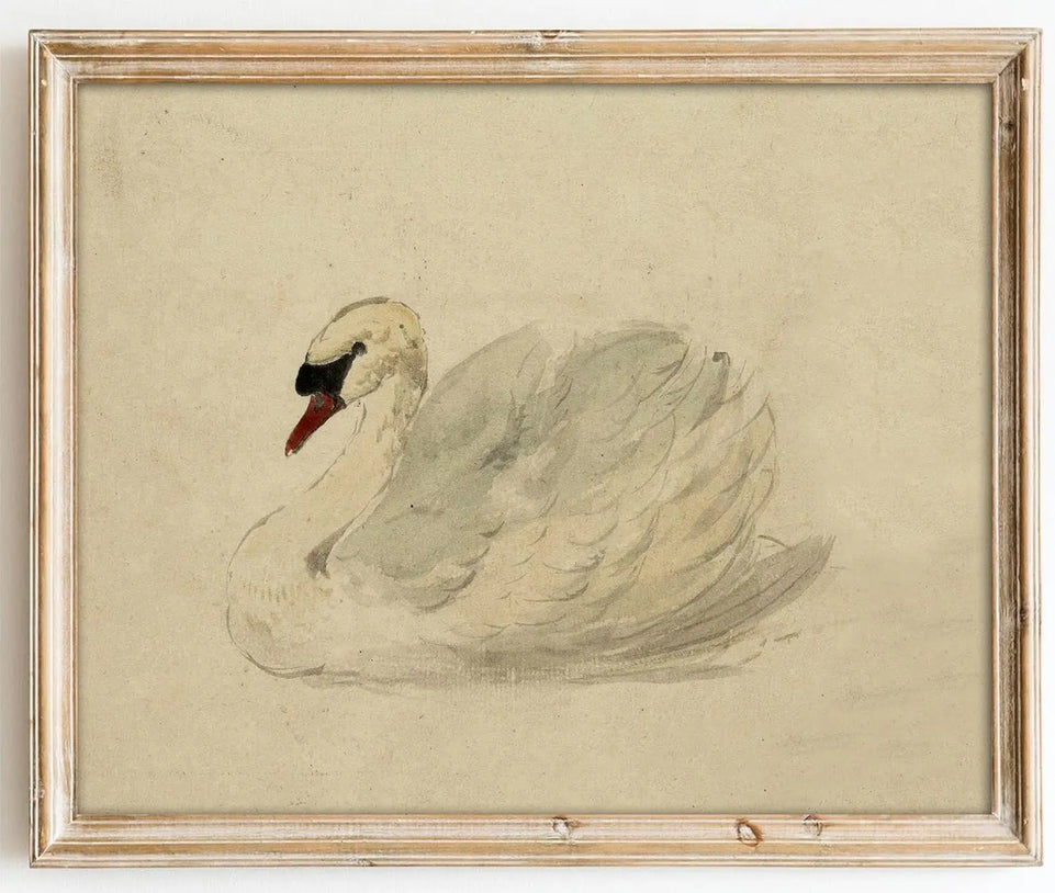 Kizbok Vintage Wall Art Decor Classical Swan Canvas Prints Farmhouse Wall Decor Rustic Watercolor Swan Vintage Art Pictures for Bedroom Bathroom Office Decor(8" x 10"-UNFRAMED) https://www.amazon.com/dp/B0CZJTYF34