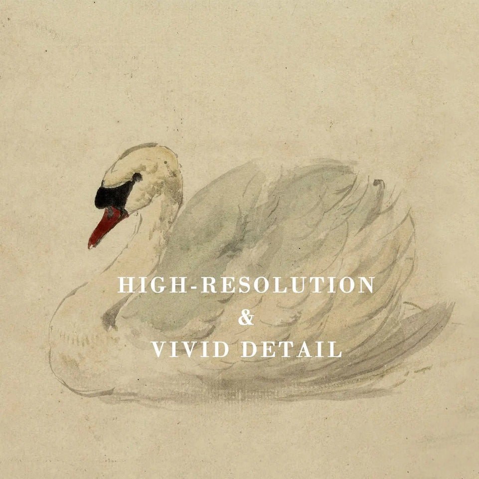 Kizbok Vintage Wall Art Decor Classical Swan Canvas Prints Farmhouse Wall Decor Rustic Watercolor Swan Vintage Art Pictures for Bedroom Bathroom Office Decor(8" x 10"-UNFRAMED) https://www.amazon.com/dp/B0CZJTYF34