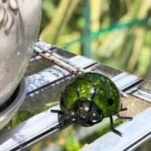 GIFTME 5 Metal Garden Wall Art Decorative Set of 4 Cute Ladybugs Outdoor Wall Sculptures https://www.amazon.com/dp/B07HF2Z653