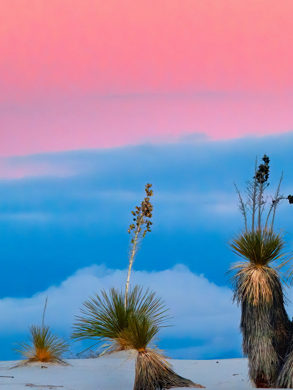 Moonrise Over Desert Triptych Canvas Print - Pink and Blue Sky Landscape | Set of 3 Wall Art for Tranquil Home Decor