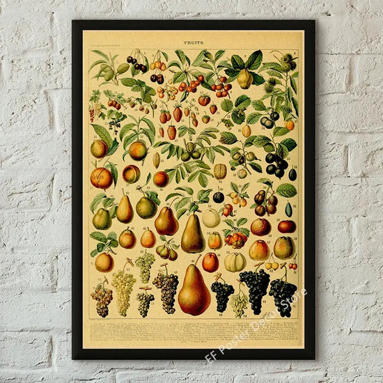 Botanical Art Prints Mushroom Retro Poster Animal/Flower/Plant/Leaf/Butterfly Study Painting Vintage Study Room Home Wall Decor June Wall Art