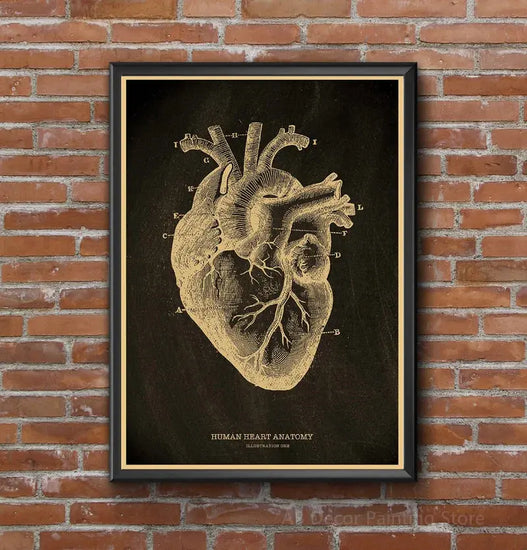 Nostalgic Posters Anatomy Chalkboard Poster Prints Body Parts Heart Hand Foot Drawing Vintage Home Room Art Wall Decor Painting June Wall Art