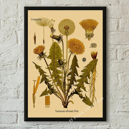 Botanical Art Prints Mushroom Retro Poster Animal/Flower/Plant/Leaf/Butterfly Study Painting Vintage Study Room Home Wall Decor June Wall Art