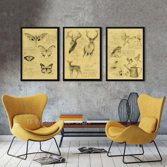 Old Sketch Studies Poster Vulpes/Skeleton Home Room Medical Club Decor Painting Plants Butterfly Vintage Prints Art Wall Picture June Wall Art