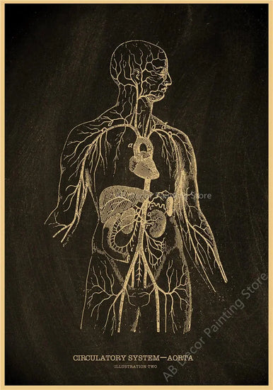 Nostalgic Posters Anatomy Chalkboard Poster Prints Body Parts Heart Hand Foot Drawing Vintage Home Room Art Wall Decor Painting June Wall Art
