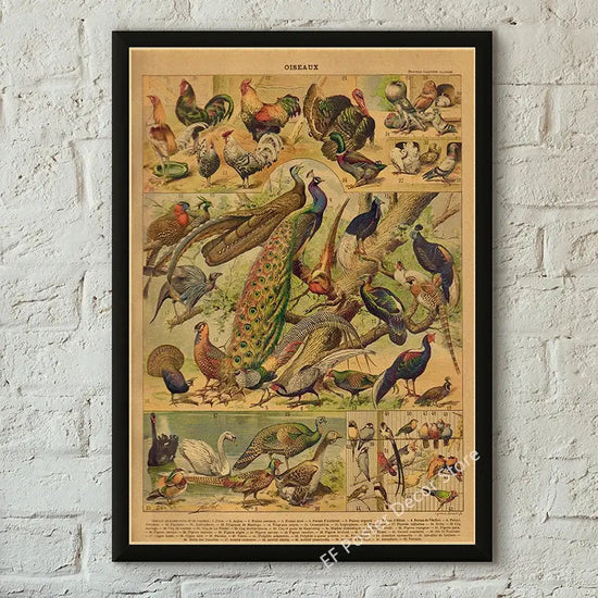 Botanical Art Prints Mushroom Retro Poster Animal/Flower/Plant/Leaf/Butterfly Study Painting Vintage Study Room Home Wall Decor June Wall Art